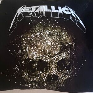 A child’s METTALLICA black hoodie